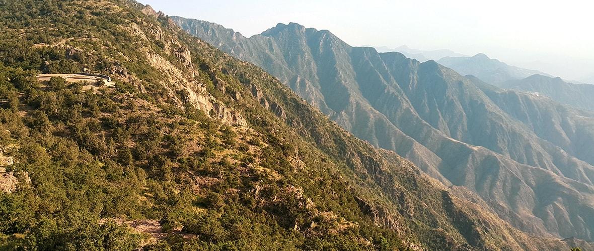 Discover the wildlife at a national park