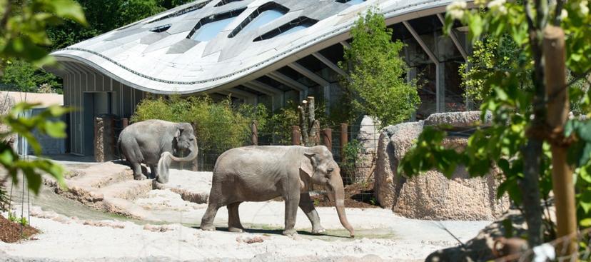 Zurich Zoo