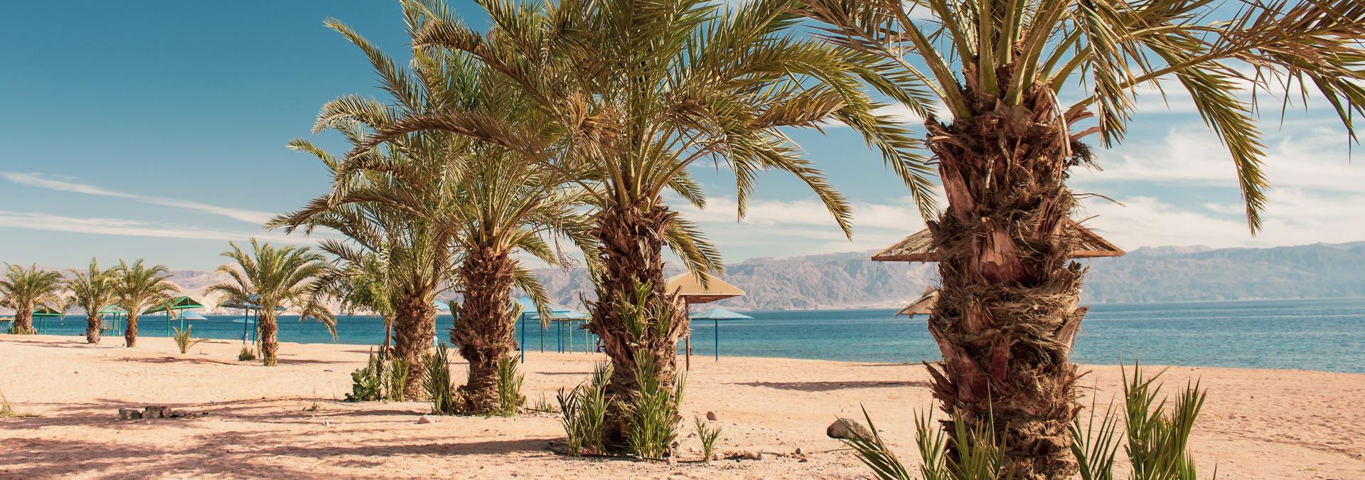 Memorable escape to Tabuk