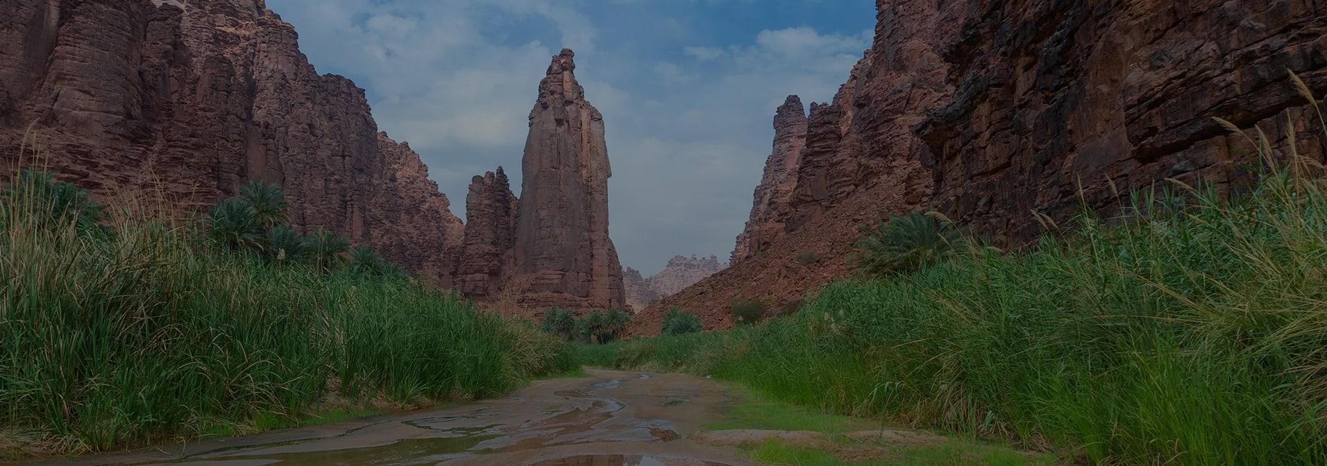 The best of history & nature across Tabuk & Al Jouf